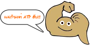 กล้ามเนื้อกิน ATP